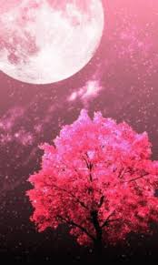 images-51