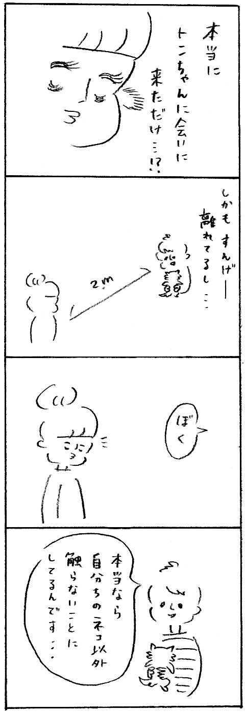【育児日記27】つづきのつづき3