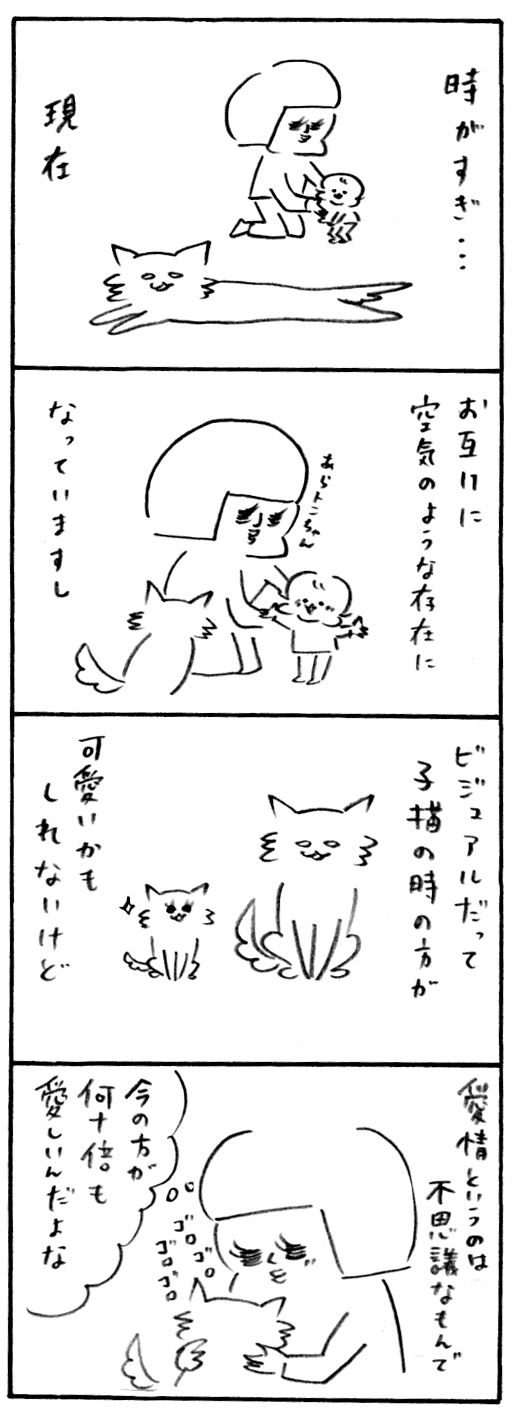 ネコの日2