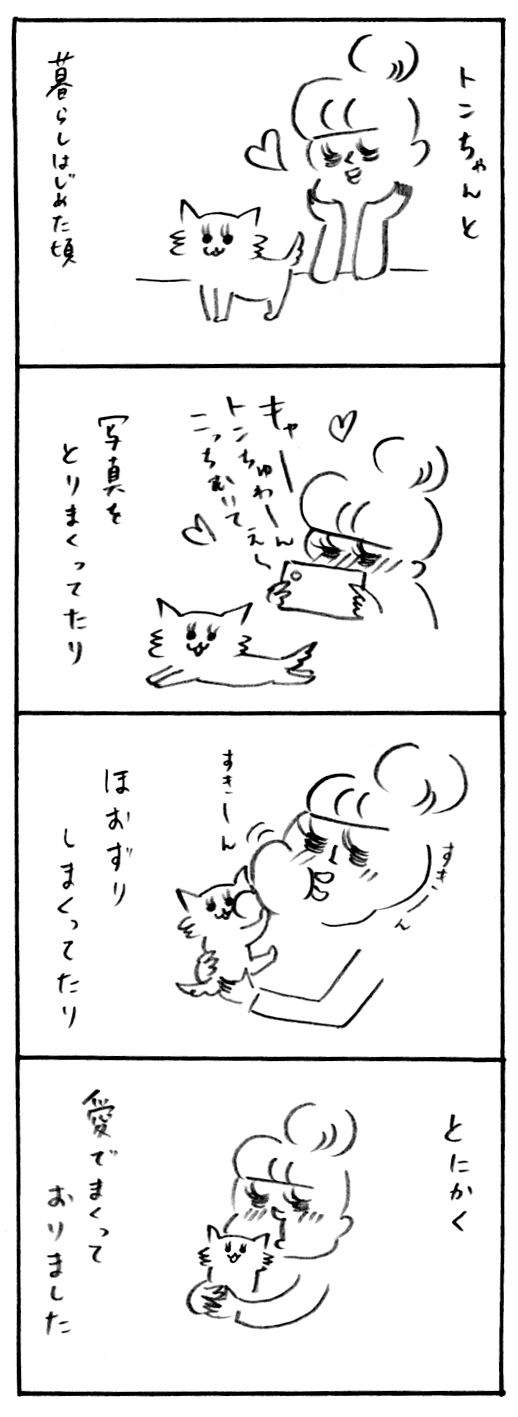 ネコの日1