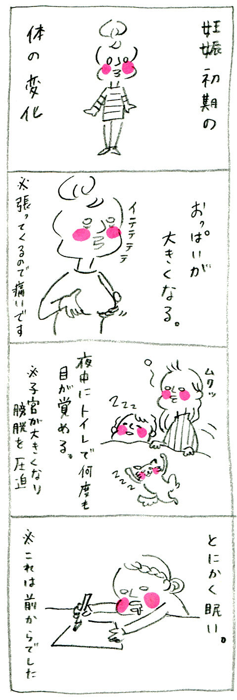 【妊娠日記19】変化