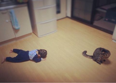 {C0F4CF5C-DAC4-4E95-87E9-04DE91F993CE}