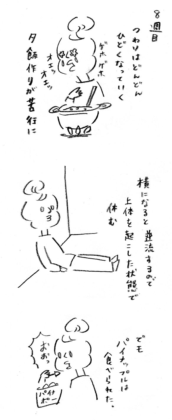 【妊娠日記8】つわりピーク時～第一波～