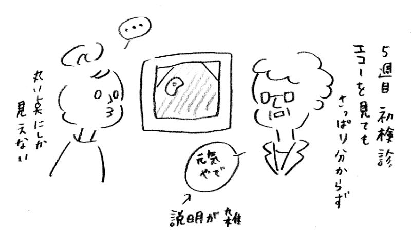 【妊娠日記3】初めての検診