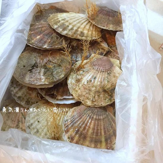 13714385_1010060169110287_731213262_na