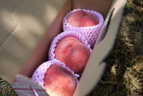 $勇気凛りんオフィシャルブログ「勇気凛りん料理とお菓子　rinrepi☆」Powered by Ameba