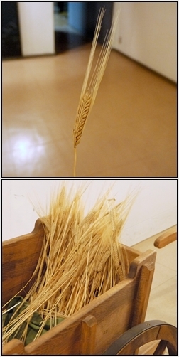 $勇気凛りんオフィシャルブログ「勇気凛りん料理とお菓子 rinrepi☆」Powered by Ameba