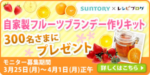 フルブラモニター