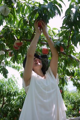 $勇気凛りんオフィシャルブログ「勇気凛りん料理とお菓子　rinrepi☆」Powered by Ameba