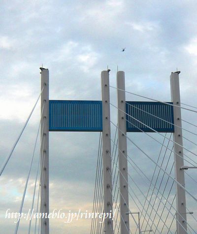 $勇気凛りん料理とお菓子 rinrepi☆-クリックで拡大