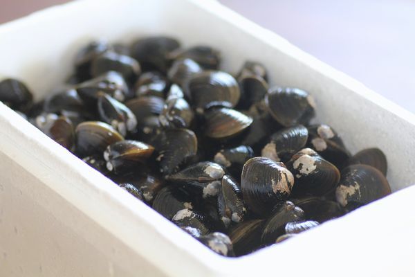 $勇気凛りんオフィシャルブログ「勇気凛りん料理とお菓子　rinrepi☆」Powered by Ameba