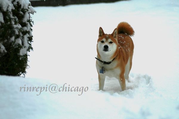 クリックで拡大