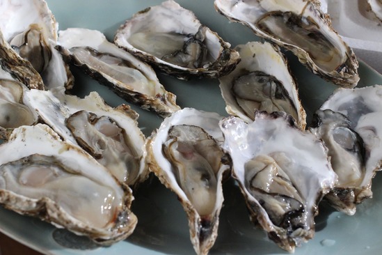 44946538_964850163721019_1503492308857782272_n