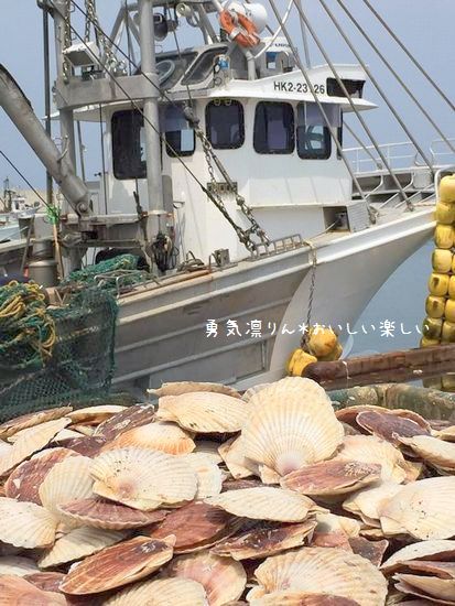 13874841_1019175991532038_1754729736_na