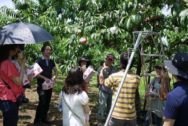 $勇気凛りんオフィシャルブログ「勇気凛りん料理とお菓子　rinrepi☆」Powered by Ameba