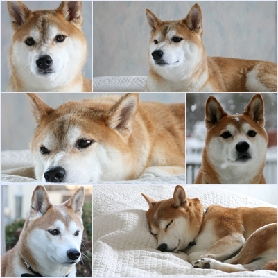 $勇気凛りん料理とお菓子　rinrepi☆