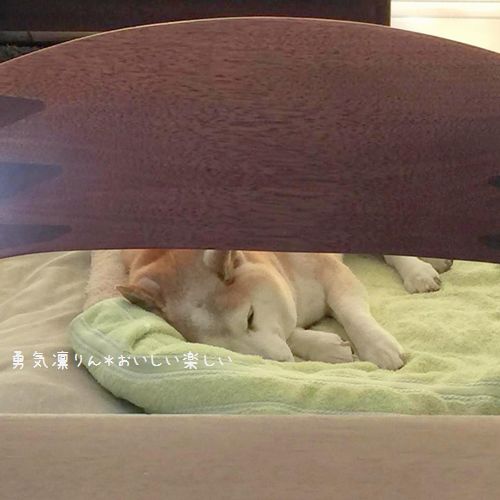 13228060_971735316276106_1601907940_naa