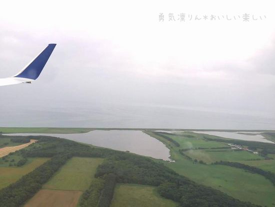 13874741_1018487844934186_1018132877_na