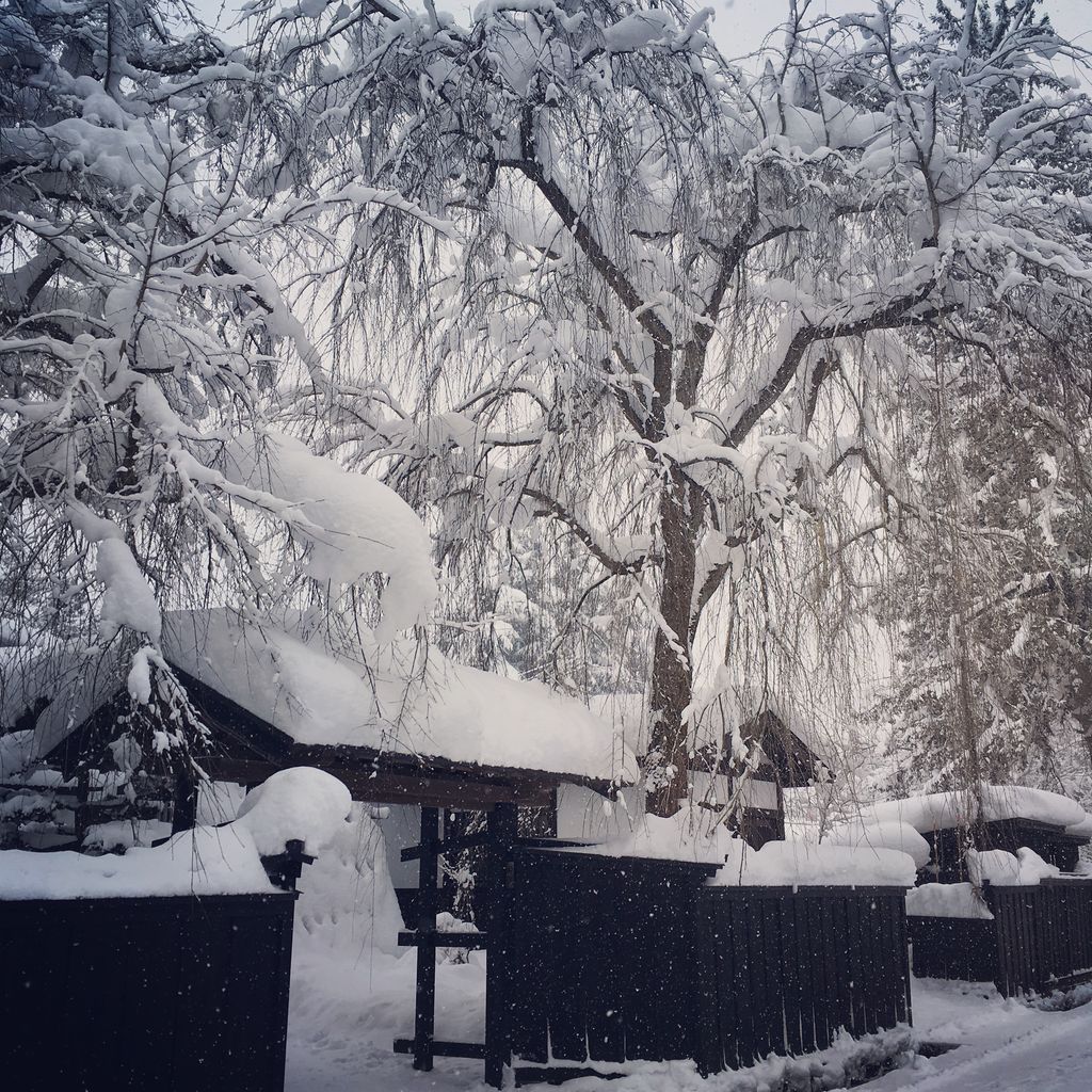 冬の角館 武家屋敷に積もる雪 秋田県 旅と散歩とおやつとカメラ 好きな日 好きな時間に 好きなところへ