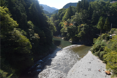 奥多摩、橋の上から