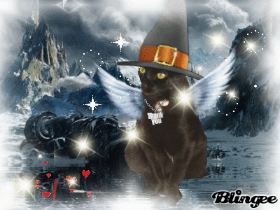 ノンのわんにゃんデコ盛り 14 5 6前 凛鈴の肉球の足跡 Rinrin