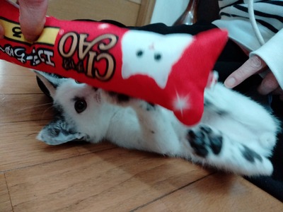 IMG20241113110817