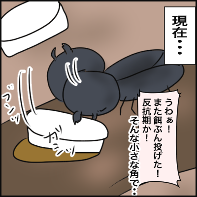 E3B38049-77BE-4023-AE04-124B2E1F8634