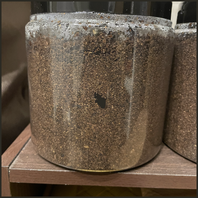 FC71D289-7392-4369-9F1D-B08BA1719AEF