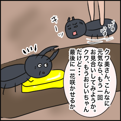 C12FEEFC-835A-4F62-B15E-B8FB5269046C