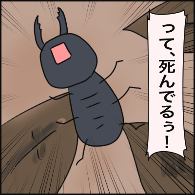 35D4972F-817C-4152-B404-DCCA44057595