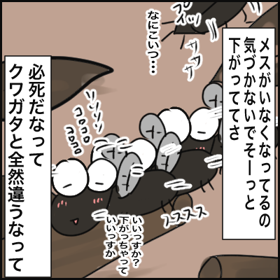 714DB1E7-D291-4D09-807D-0625789A7E51