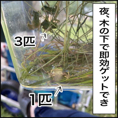 4D5F29A0-6506-42B4-B351-9F4B48E437CC
