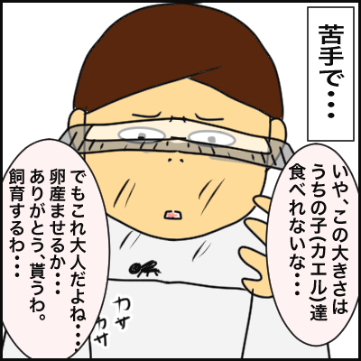 CECE5CA6-5B45-46AF-9AEB-8A62FFC4F818