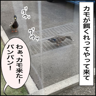 9FA4E719-2AF8-4F2A-8F5E-FF4FF084A3C3