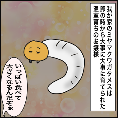 D7A1FFEC-2D28-44C7-B446-E27E1029A820