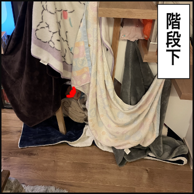096569CB-3880-473E-A679-52D5CED3D34E