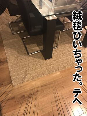 syokunin9