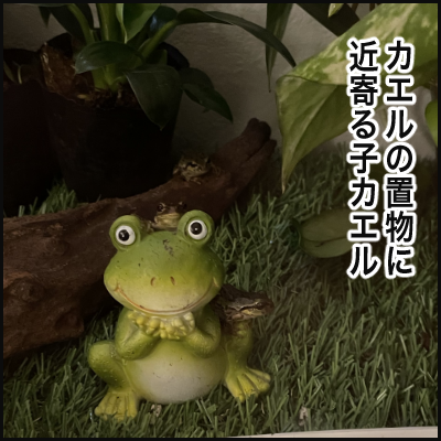 1391CB0B-C65A-4ECE-8D47-786653E6E146