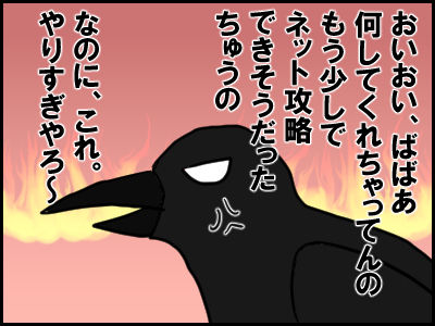 karasu4