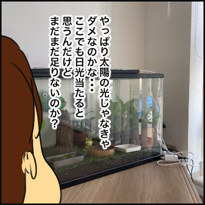 81FC1AEC-7C95-416E-818F-A81CEFAF4700