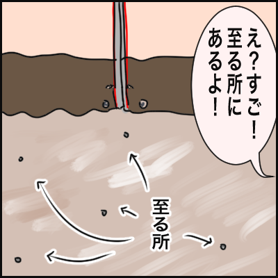28C96520-7AA7-4C69-8A60-3AF6829095B8