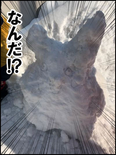 daruma14