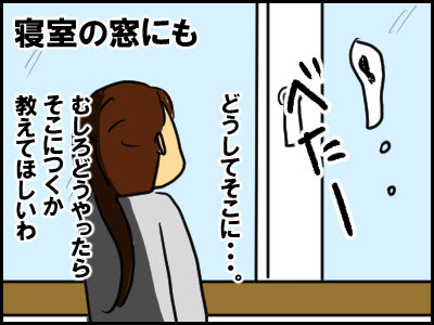 karasu6