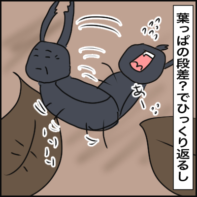 C5B5F1D4-05B2-4311-858C-34F240CC4634