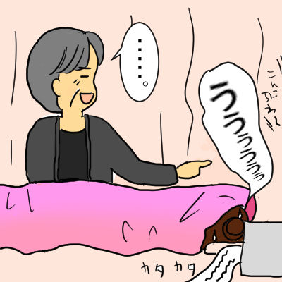 daini15