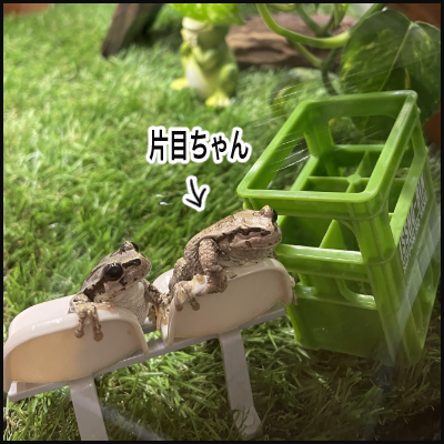 EC4A77E9-47E6-40B0-91D6-592DA877C0E1