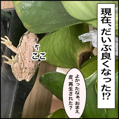 10A10012-37A6-46FE-A66B-993C764D358F
