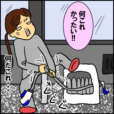 karasu11