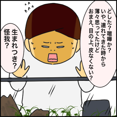 D114E456-4B95-4B09-8E0A-07855CEDBA5C