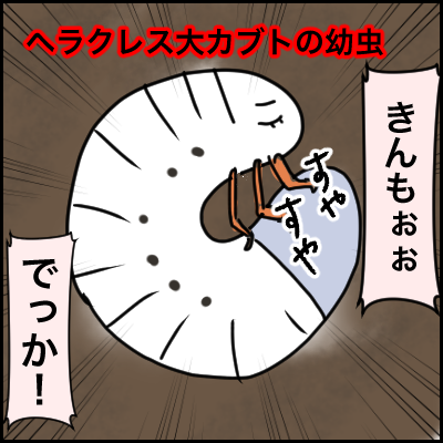 5DCB0539-3FD1-45BB-A1D2-14A7C520E832